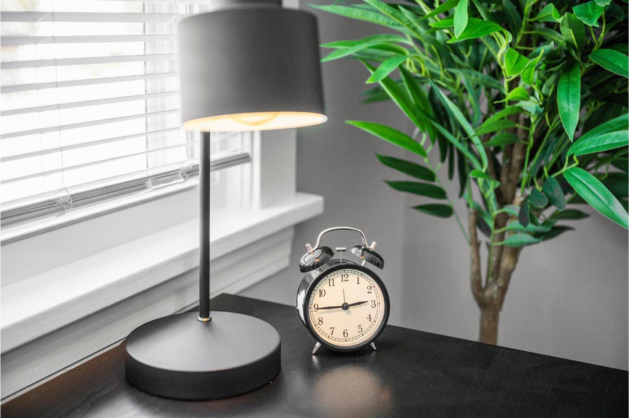 Amazing Parma Home King Bed Full Office Room Εξωτερικό φωτογραφία